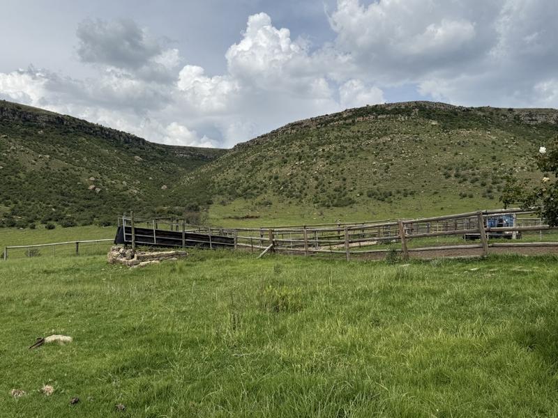 0 Bedroom Property for Sale in Harrismith Free State